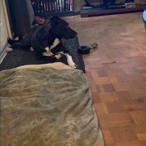 Meet your Posher, Chantelle